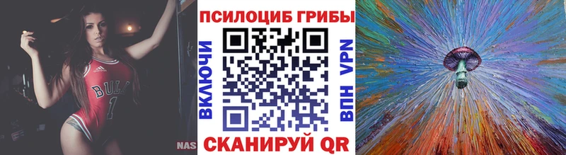 МЕГА   Цимлянск  Псилоцибиновые грибы Psilocybe 