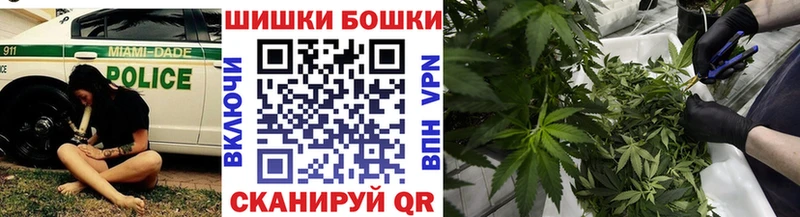 ссылка на мегу как войти  Цимлянск  Бошки марихуана VHQ 